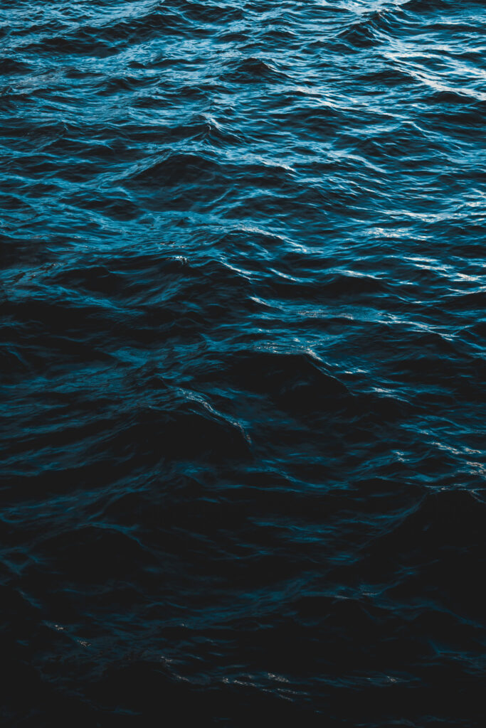 alex-dukhanov-800154-unsplash