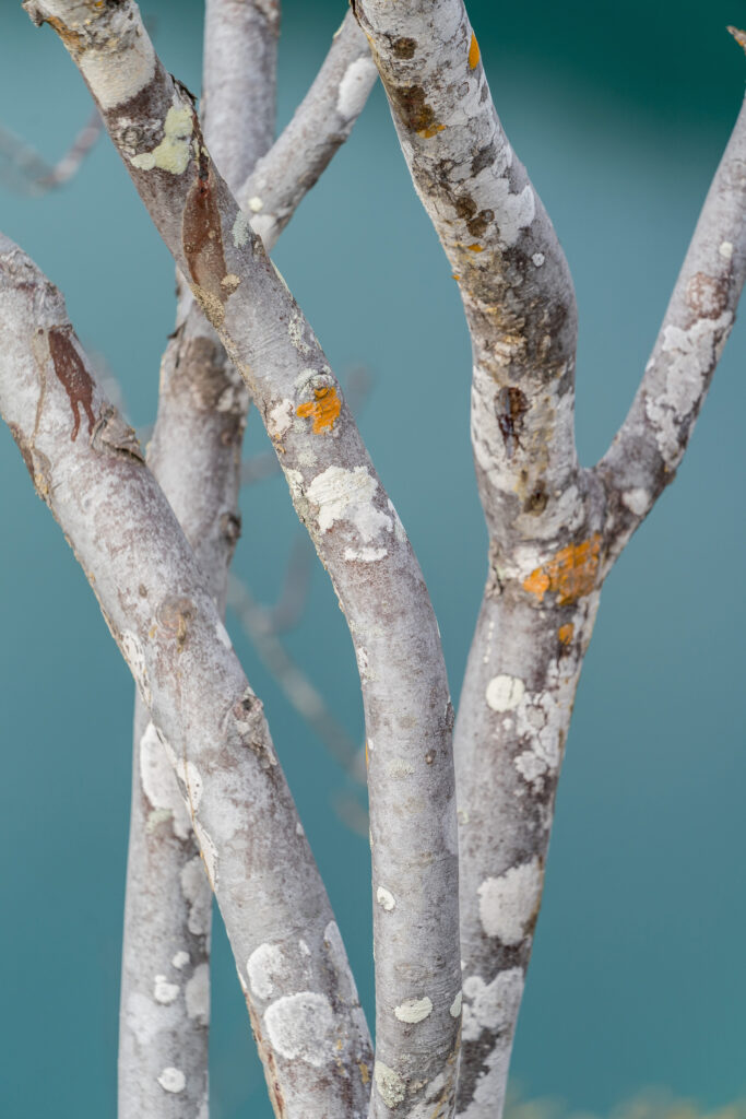 rod-long-604732-unsplash