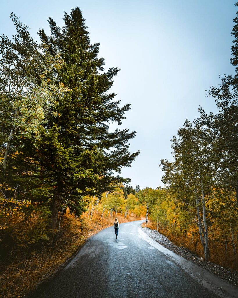 trail-1152864-unsplash